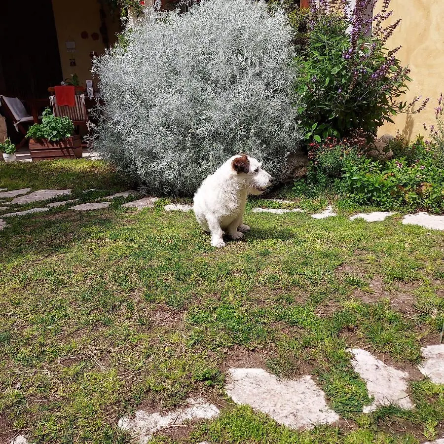 Casa Vacanze L'Ulivo Di Ugo Quartu SantʼElena Italien