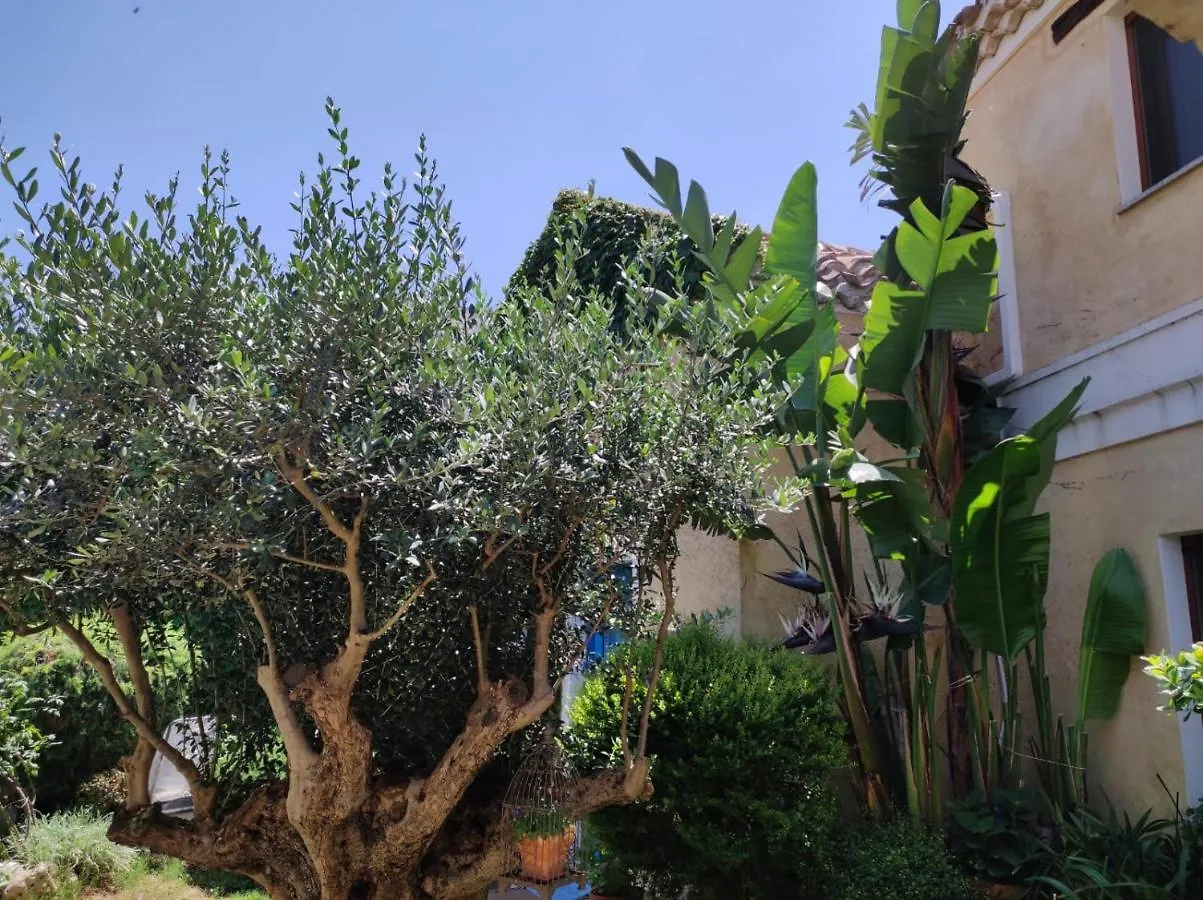 Ferienhaus Casa Vacanze L'Ulivo Di Ugo Quartu SantʼElena