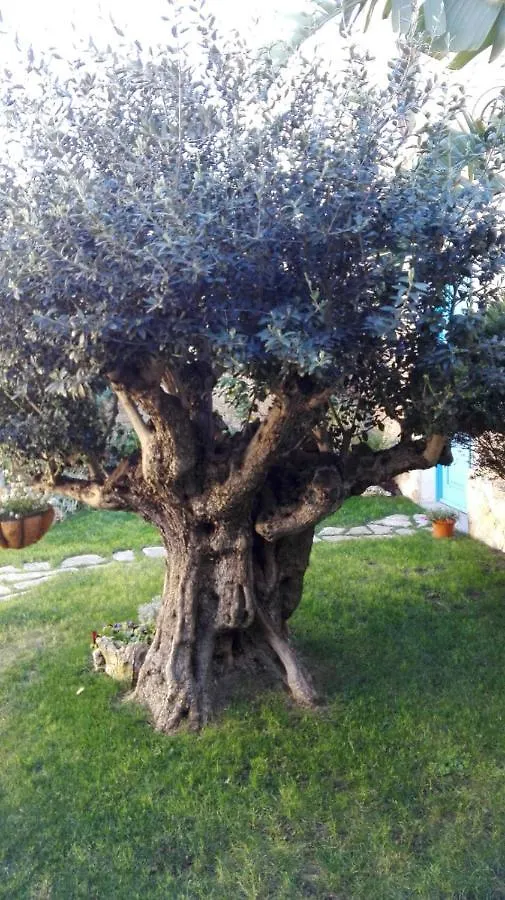 Casa Vacanze L\'Ulivo Di Ugo location