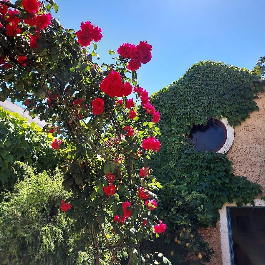 Casa Vacanze L'Ulivo Di Ugo Quartu SantʼElena 0*,  Italien